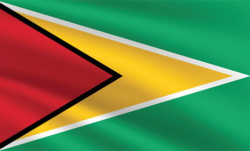 Guyana flag