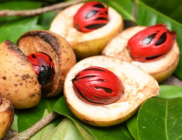 nutmeg